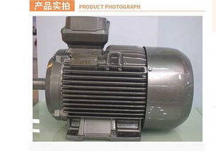 江蘇揚州西門子電機工廠 卓越品質，正品直銷，全國包郵