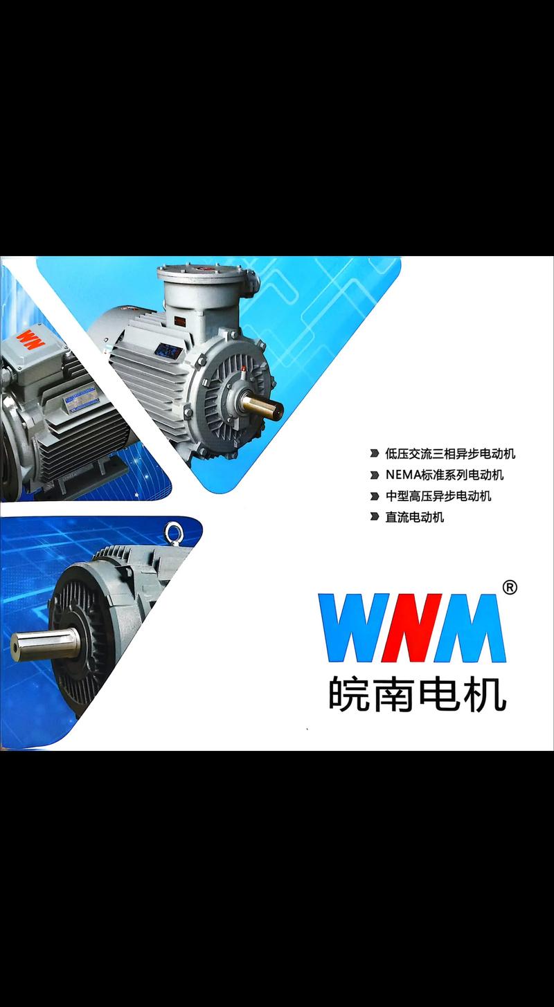 皖南電機(jī)、華士力與臥龍 三大電機(jī)制造力量的對(duì)標(biāo)與思考